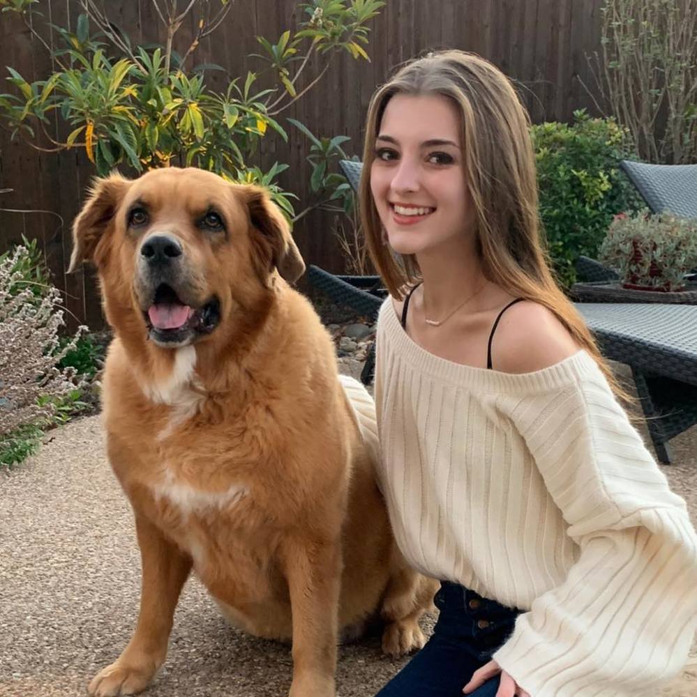 Meet your Posher, Alexis